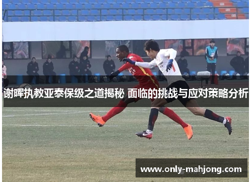 谢晖执教亚泰保级之道揭秘 面临的挑战与应对策略分析