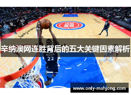 辛纳澳网连胜背后的五大关键因素解析