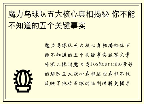 魔力鸟球队五大核心真相揭秘 你不能不知道的五个关键事实 魔力鸟球队五大核心真相揭秘 你不能不知道的五个关键事实